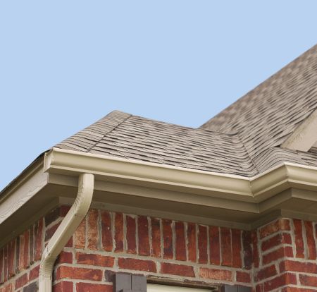 What Are the Black Streaks on My Roof in Johnston County?